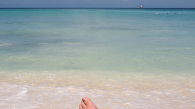 How to Stay on Track While on Vacation | CA Employee Benefits Firm